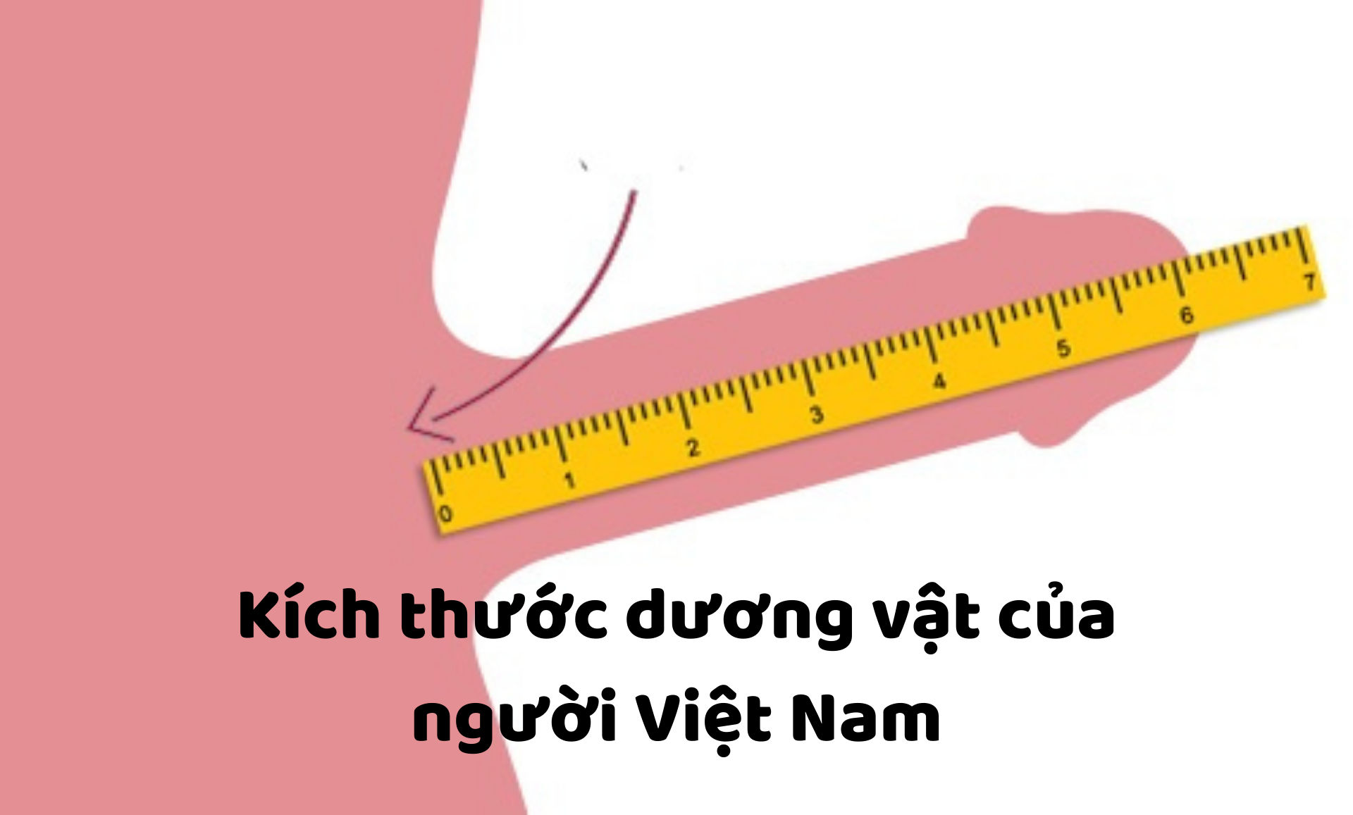 Trung bình kích thước dương vật người Việt Nam là bao nhiêu?